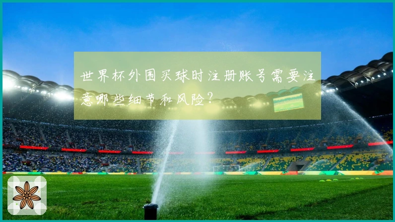 世界杯外围买球时注册账号需要注意哪些细节和风险？