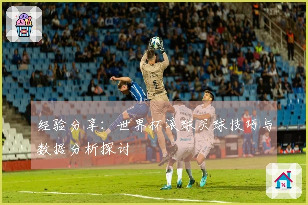 经验分享：世界杯滚球买球技巧与数据分析探讨