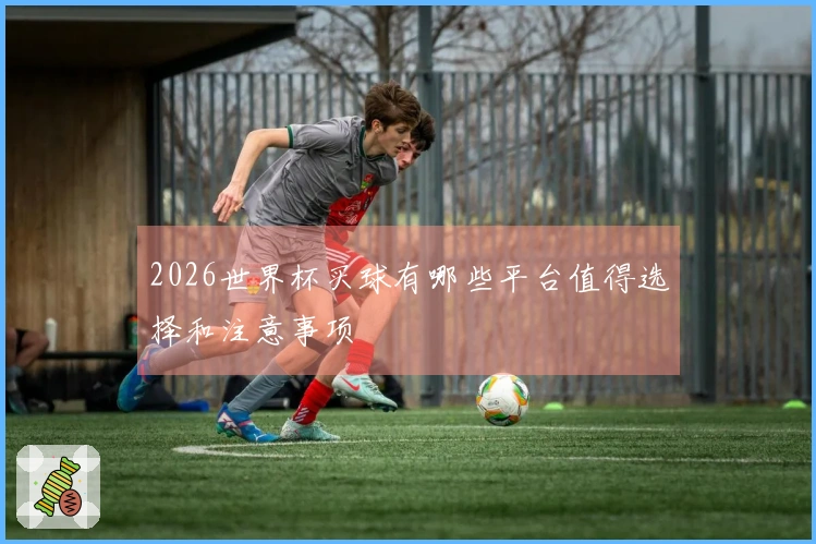2026世界杯买球有哪些平台值得选择和注意事项