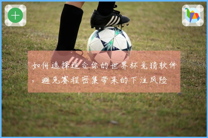 如何选择适合你的世界杯竞猜软件，避免赛程密集带来的下注风险
