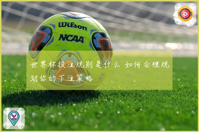 世界杯投注规则是什么 如何合理规划你的下注策略