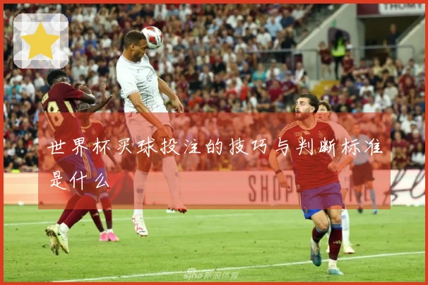 世界杯买球投注的技巧与判断标准是什么