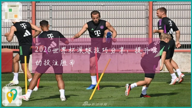 2026世界杯滚球技巧分享，提升你的投注胜率