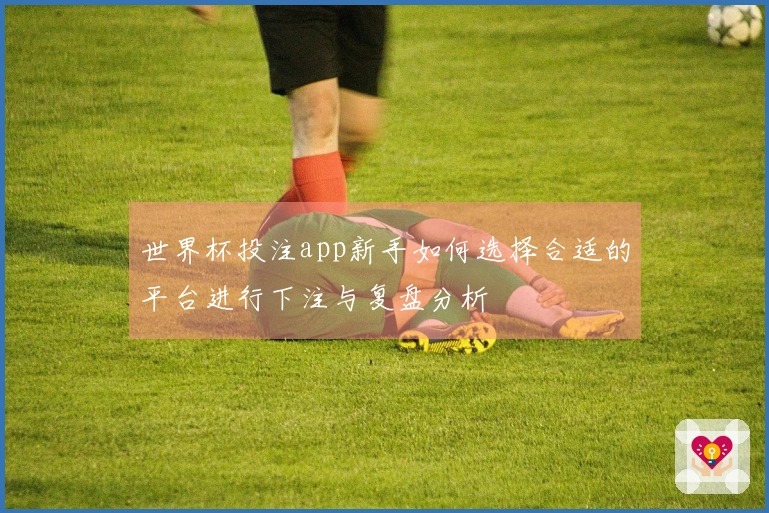 世界杯投注app新手如何选择合适的平台进行下注与复盘分析