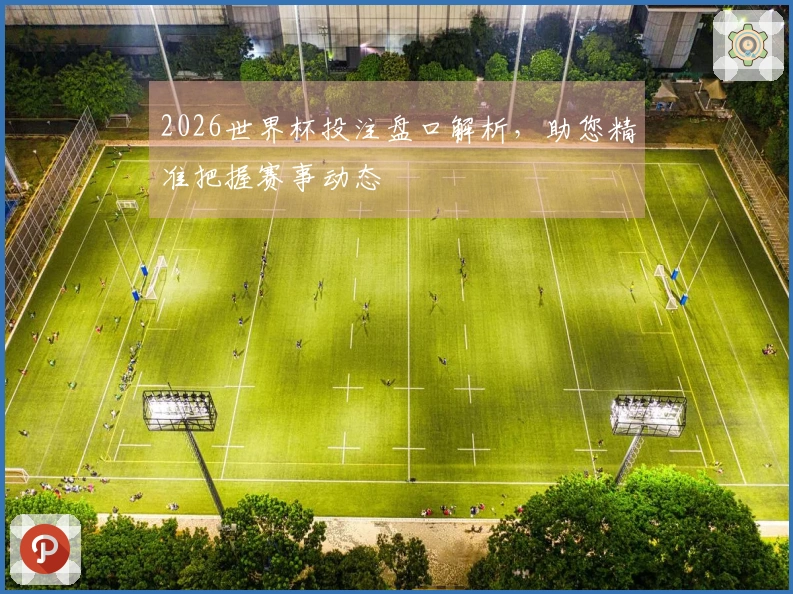 2026世界杯投注盘口解析，助您精准把握赛事动态