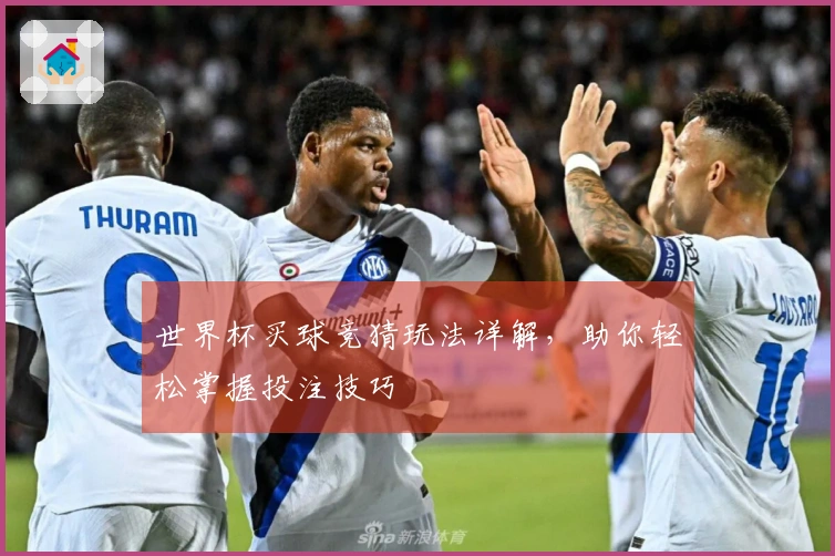 世界杯买球竞猜玩法详解，助你轻松掌握投注技巧