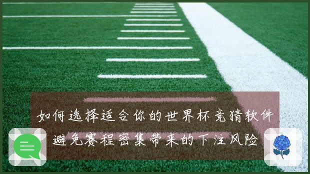 如何选择适合你的世界杯竞猜软件，避免赛程密集带来的下注风险
