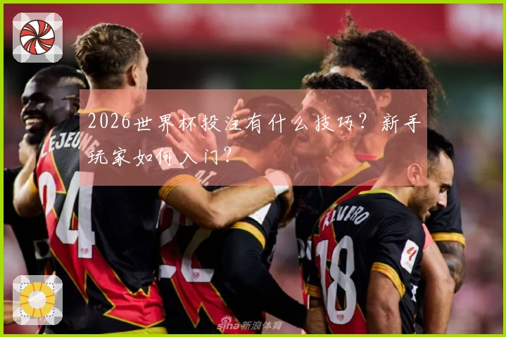 2026世界杯投注有什么技巧？新手玩家如何入门？