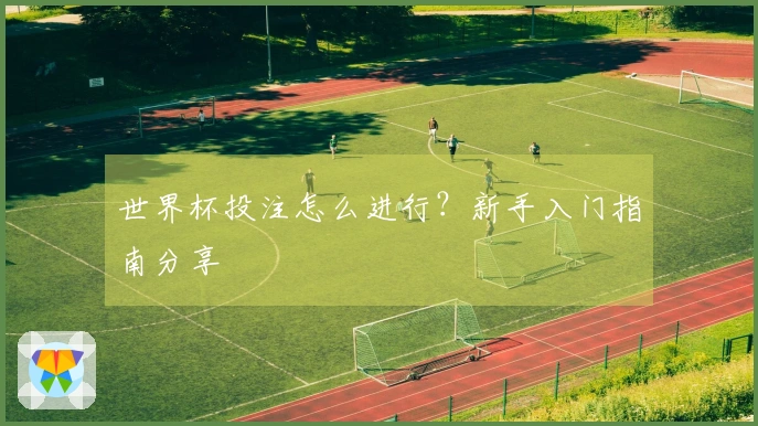 世界杯投注怎么进行？新手入门指南分享