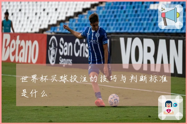 世界杯买球投注的技巧与判断标准是什么