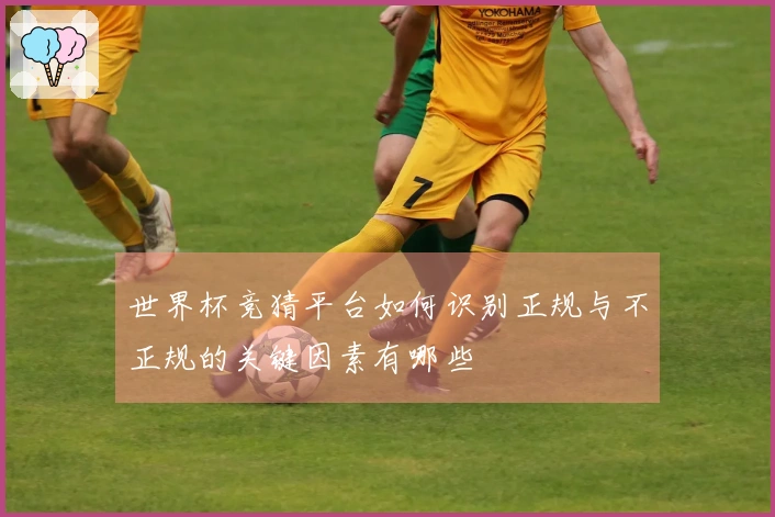 世界杯竞猜平台如何识别正规与不正规的关键因素有哪些