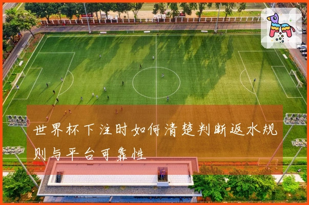 世界杯下注时如何清楚判断返水规则与平台可靠性