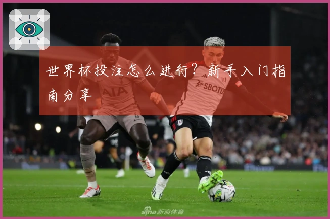 世界杯投注怎么进行？新手入门指南分享
