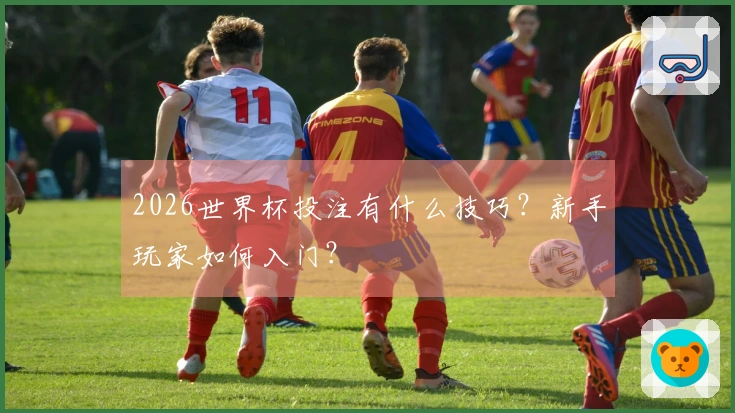 2026世界杯投注有什么技巧？新手玩家如何入门？