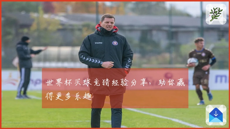 世界杯买球竞猜经验分享，助你赢得更多乐趣