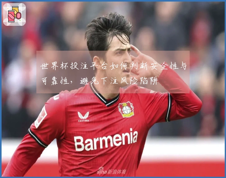 世界杯投注平台如何判断安全性与可靠性，避免下注风险陷阱